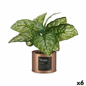 Plante décorative Home Cuivre Cannette (26 x 26 x 26 cm) (6 Unités) 112,99 €