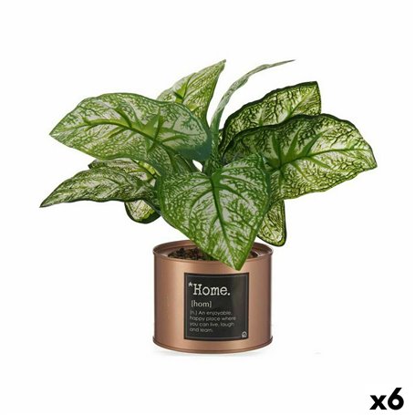 Plante décorative Home Cuivre Cannette (26 x 26 x 26 cm) (6 Unités) 112,99 €