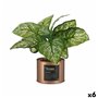 Plante décorative Home Cuivre Cannette (26 x 26 x 26 cm) (6 Unités) 112,99 €