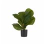 Plante décorative 9,5 x 42 x 9,5 cm Plastique 6 Unités 109,99 €