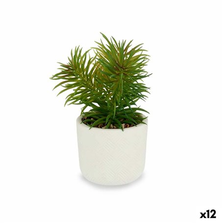 Plante décorative Blanc Vert (14 x 20 x 14 cm) (12 Unités) 117,99 €