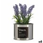 Plante décorative Plastique Lavande Cannette 6 Unités 68,99 €