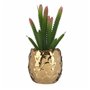 Plante décorative Céramique Doré Cactus Vert Plastique 6 Unités 80,99 €