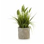 Plante décorative Epis Plastique 12 x 30 x 12 cm (8 Unités) 111,99 €