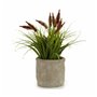 Plante décorative Epis Plastique 12 x 30 x 12 cm (8 Unités) 111,99 €