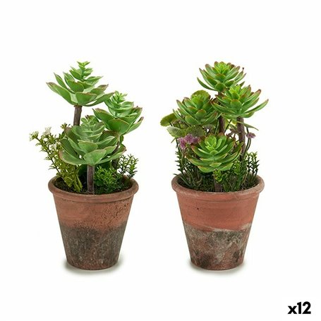 Plante décorative Succulent Plastique 16 x 23 x 16 cm (12 Unités) 139,99 €