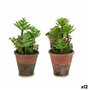 Plante décorative Succulent Plastique 16 x 23 x 16 cm (12 Unités) 139,99 €