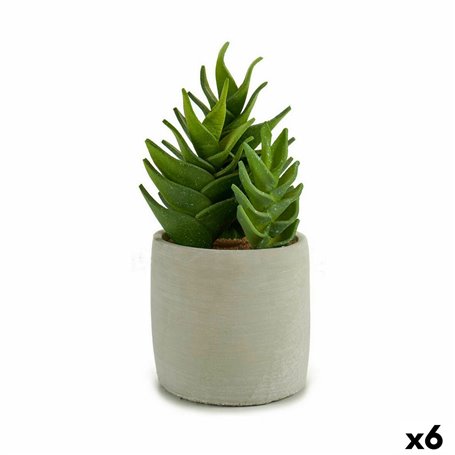 Plante décorative Succulent Plastique 12 x 24 x 12 cm (6 Unités) 129,99 €