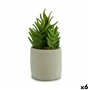 Plante décorative Succulent Plastique 12 x 24 x 12 cm (6 Unités) 129,99 €