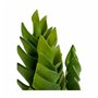 Plante décorative Succulent Plastique 12 x 24 x 12 cm (6 Unités) 129,99 €