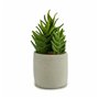 Plante décorative Succulent Plastique 12 x 24 x 12 cm (6 Unités) 129,99 €