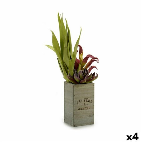 Plante décorative Flowers Garden Marron Vert 10 x 50 x 10 cm (4 Unités) 150,99 €