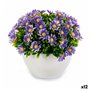 Plante décorative Marguerite Plastique 14 x 13 x 14 cm (12 Unités) 75,99 €