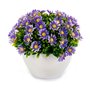 Plante décorative Marguerite Plastique 14 x 13 x 14 cm (12 Unités) 75,99 €