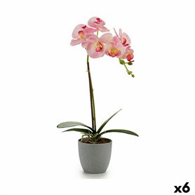 Plante décorative Orchidée Plastique 13 x 39 x 22 cm (6 Unités) 61,99 €
