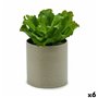 Plante décorative 20 x 25 x 20 cm (6 Unités) 176,99 €