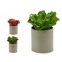 Plante décorative 20 x 25 x 20 cm (6 Unités) 176,99 €