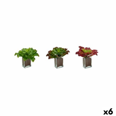 Plante décorative Volets Grand Bicolore Plastique 31 x 24 x 31 cm (6 Uni 156,99 €