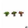 Plante décorative Volets Grand Bicolore Plastique 31 x 24 x 31 cm (6 Uni 156,99 €