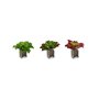 Plante décorative Volets Grand Bicolore Plastique 31 x 24 x 31 cm (6 Uni 156,99 €