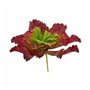 Plante décorative Volets Grand Bicolore Plastique 31 x 24 x 31 cm (6 Uni 156,99 €