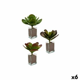 Plante décorative Volets Grand Bicolore Plastique 27 x 29 x 27 cm (6 Uni 115,99 €