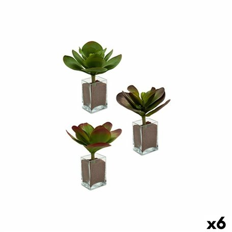 Plante décorative Volets Grand Bicolore Plastique 27 x 29 x 27 cm (6 Uni 115,99 €