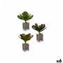 Plante décorative Volets Grand Bicolore Plastique 27 x 29 x 27 cm (6 Uni 115,99 €