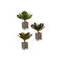 Plante décorative Volets Grand Bicolore Plastique 27 x 29 x 27 cm (6 Uni 115,99 €