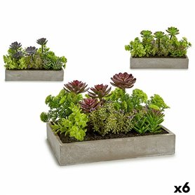 Plante décorative Succulent Plastique Ciment 16,5 x 20 x 28,5 cm (6 Unit 199,99 €