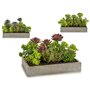 Plante décorative Succulent Plastique Ciment 16,5 x 20 x 28,5 cm (6 Unit 199,99 €