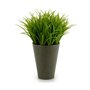 Plante décorative Plastique 11 x 18 x 11 cm Vert Gris (12 Unités) 64,99 €