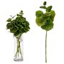 Branche Volets 75 cm Vert Plastique (12 Unités) 88,99 €