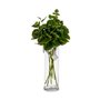 Branche Volets 75 cm Vert Plastique (12 Unités) 88,99 €