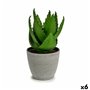 Plante décorative Aloe Vera 15 x 23,5 x 15 cm Gris Vert Plastique (6 Uni 90,99 €