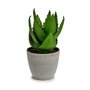 Plante décorative Aloe Vera 15 x 23,5 x 15 cm Gris Vert Plastique (6 Uni 90,99 €