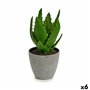 Plante décorative Aloe Vera 14 x 21 x 14 cm Gris Vert Plastique (6 Unité 62,99 €