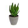 Plante décorative Aloe Vera 14 x 21 x 14 cm Gris Vert Plastique (6 Unité 62,99 €