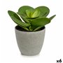 Plante décorative 18 x 18,5 x 18 cm Gris Vert Plastique (6 Unités) 87,99 €