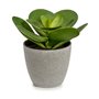 Plante décorative 18 x 18,5 x 18 cm Gris Vert Plastique (6 Unités) 87,99 €