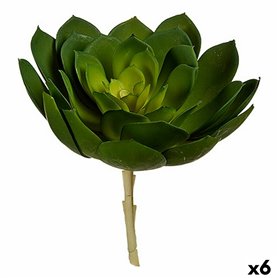 Plante décorative 22 x 19 x 19 cm Vert Plastique (6 Unités) 62,99 €