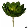 Plante décorative 22 x 19 x 19 cm Vert Plastique (6 Unités) 62,99 €