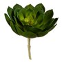 Plante décorative 22 x 19 x 19 cm Vert Plastique (6 Unités) 62,99 €