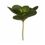 Plante décorative Volets Ronde Plastique 18 x 23 x 18 cm (6 Unités) 59,99 €