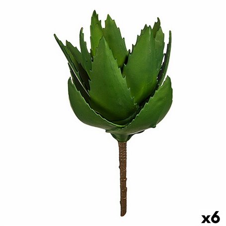 Plante décorative Aloe Vera 13 x 24,5 x 14 cm Vert Plastique (6 Unités) 61,99 €