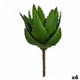 Plante décorative Aloe Vera 13 x 24,5 x 14 cm Vert Plastique (6 Unités) 61,99 €