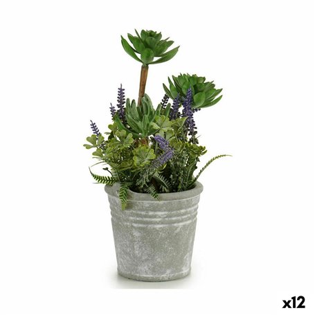 Plante décorative Fleurs Campagne Liège Plastique 10 x 25 x 10 cm (12 Un 122,99 €