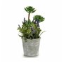 Plante décorative Fleurs Campagne Liège Plastique 10 x 25 x 10 cm (12 Un 122,99 €