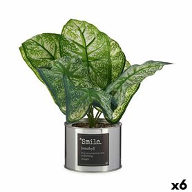 Plante décorative Caladium Métal Plastique 26 x 26 x 26 cm (6 Unités) 112,99 €