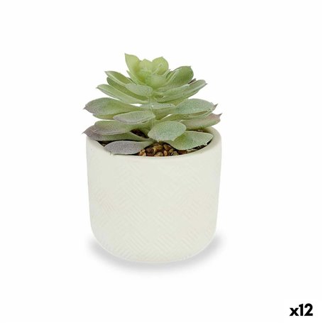 Plante décorative Succulent Plastique 14 x 13,5 x 14 cm (12 Unités) 110,99 €